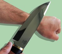 Нож "Сибиряк", сталь 95х18 кованая